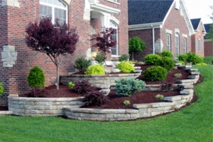 All Star Fence & Landscaping - Hardscaping & Paver Patio