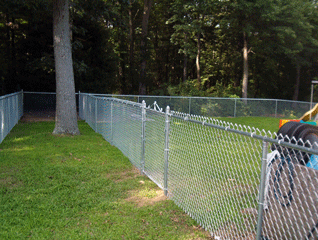 Chain Link Fence 3