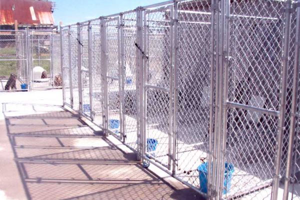Commercial Fence 2